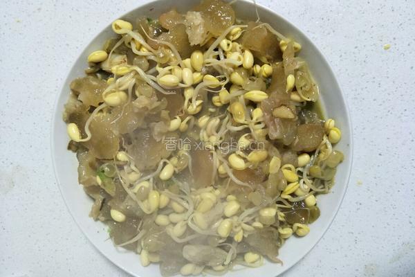 牛筋烩豆芽的做法图解3