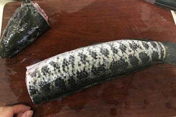 筒子骨汤煮黑鱼片的做法图解9