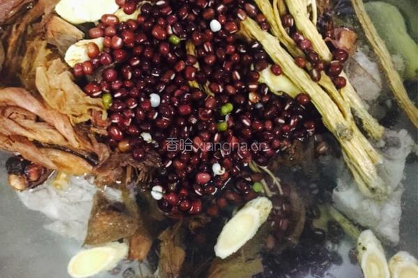 木棉花党参黄芪祛湿汤的做法图解5