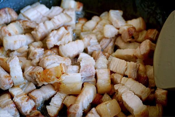 台湾卤肉饭的做法图解8