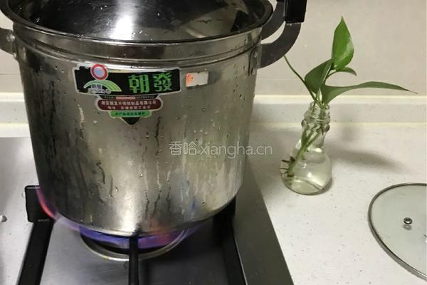 菜干骨头汤的做法图解10