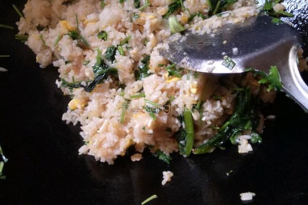 香葱鸡蛋炒饭的做法图解11
