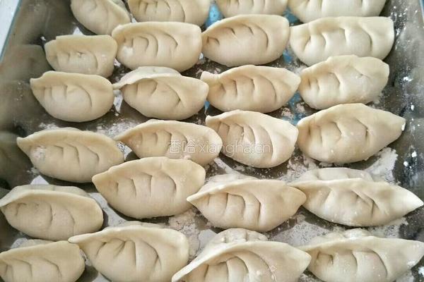 韭菜猪肉水饺的做法图解4