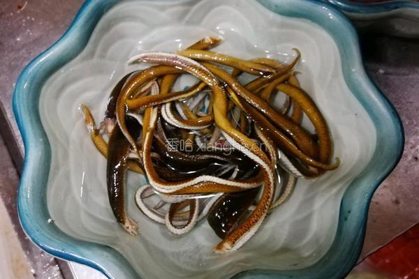 炒鳝丝的做法图解7