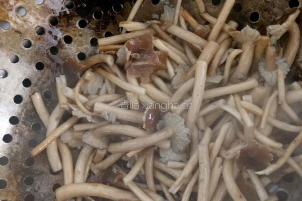茶树菇鸡柳的做法图解6