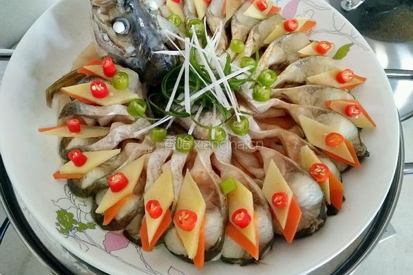 孔雀开屏的做法图解8