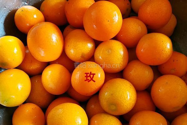 冰糖金桔的做法图解3