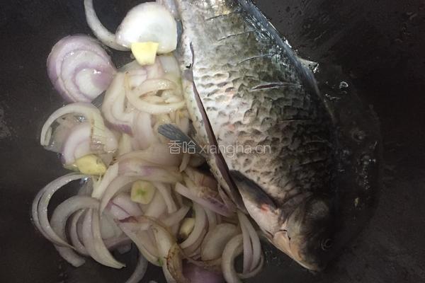 河鲫鱼豆腐汤的做法图解2