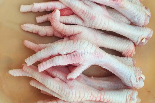鸡爪烧海带豆腐皮的做法图解1