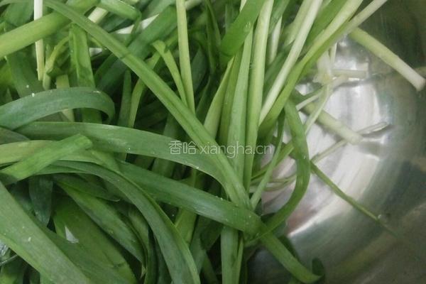 韭菜鸡蛋馅饺子的做法图解7