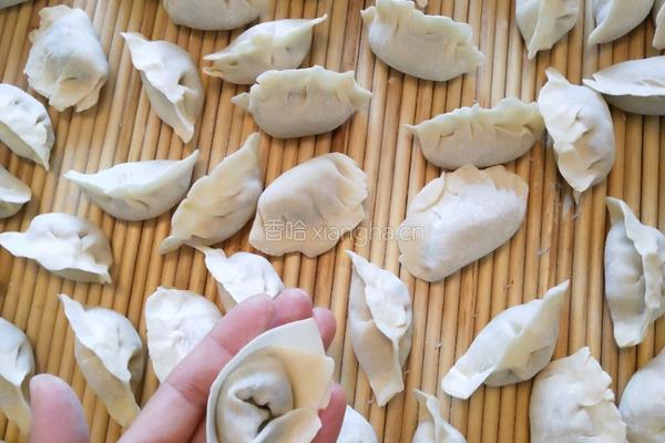 萝卜猪肉饺子的做法图解4