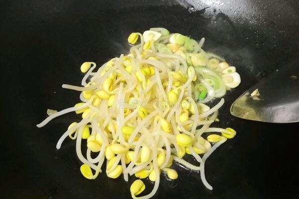 胡萝卜丝炒黄豆芽的做法图解4