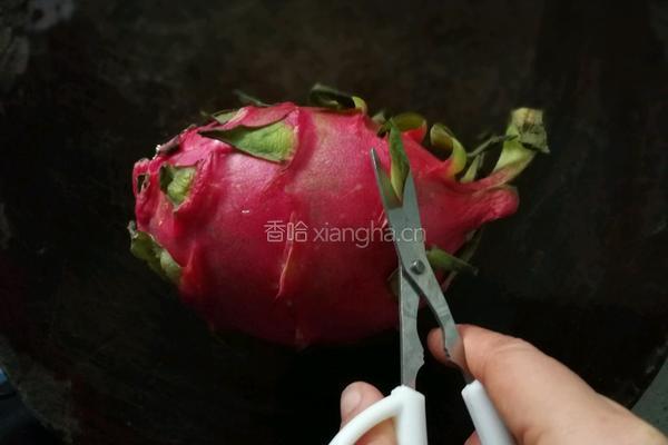 火龙果皮蛋卷的做法图解3