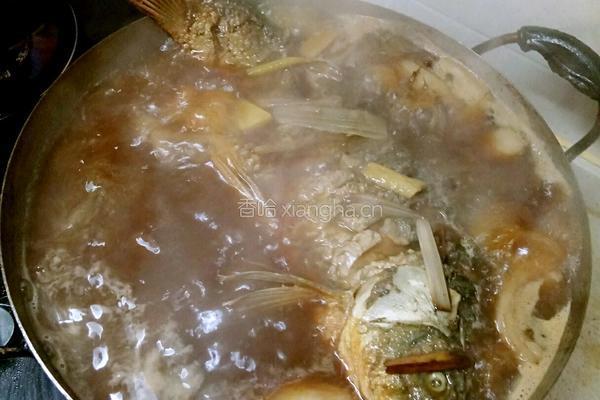 鲁菜大师蒋家菜酱烧炖鲤鱼的做法图解7