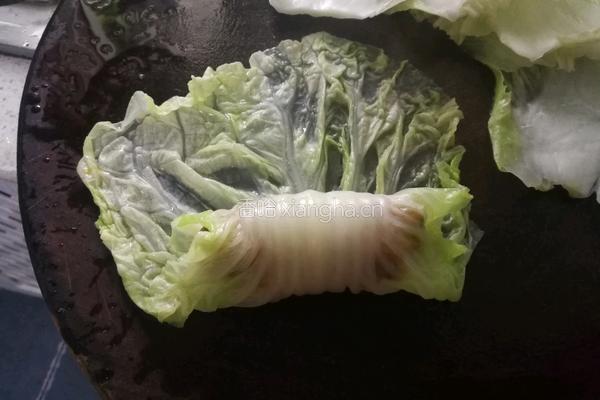 猪肉白菜卷的做法图解5