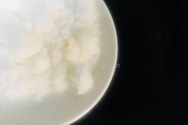 红烧鸡爪的做法图解9