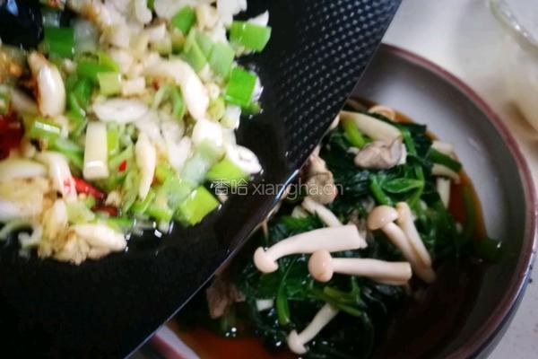 菠菜拌牡蛎的做法图解8