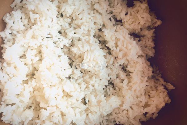 火龙果炒饭的做法图解4