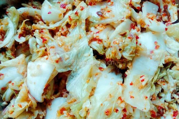 自制辣白菜的做法图解6