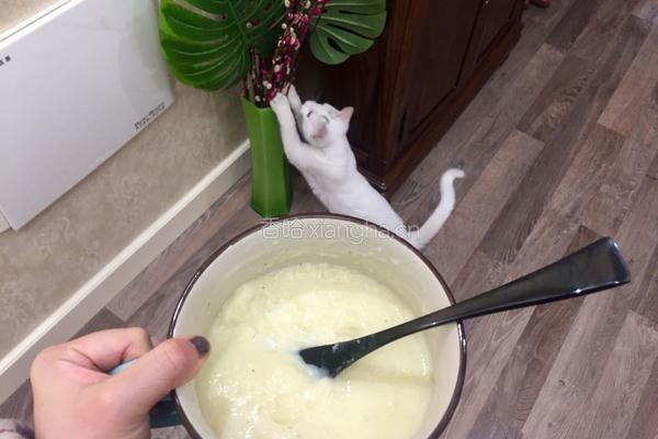 奶香土豆泥的做法图解4