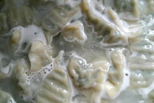 白苋菜饺子的做法图解6