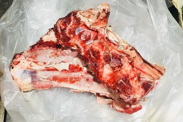 清炖牛肉的做法图解3