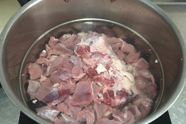 清炖牛肉的做法图解5