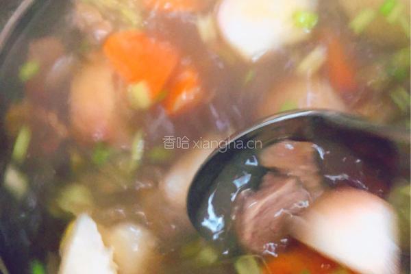 牛肉萝卜汤的做法图解11