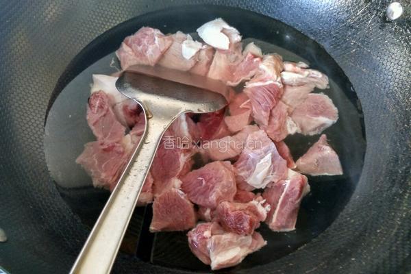 番茄萝卜炖牛肉的做法图解9
