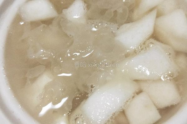 雪梨银耳羹的做法图解6