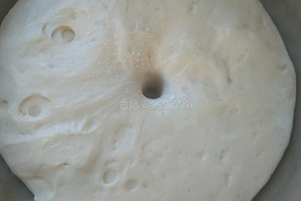 毛毛虫豆沙包（手揉版）的做法图解14