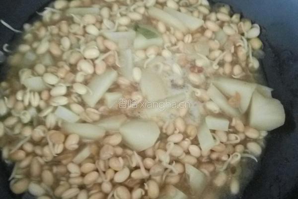 土豆炖黄豆芽的做法图解7