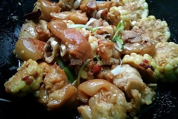 红烧玉米猪蹄的做法图解10