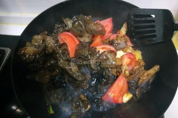 牛肉炖西红柿木耳的做法图解7