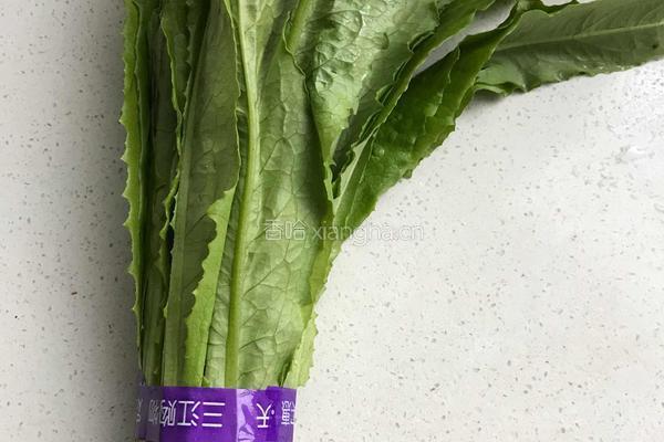 凉拌油麦菜的做法图解2