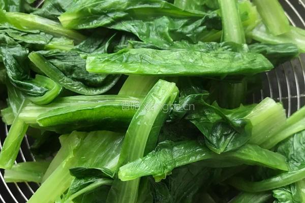 凉拌油麦菜的做法图解8