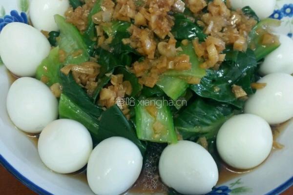 蒜蓉青菜鹌鹑蛋的做法图解8