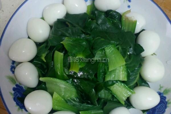 蒜蓉青菜鹌鹑蛋的做法图解4
