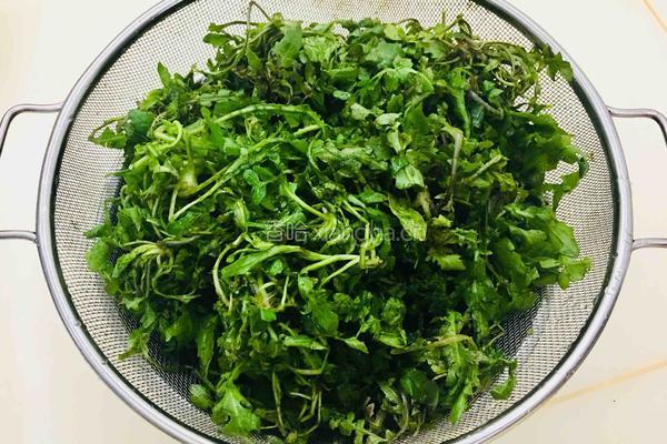荠菜猪肉馅包子的做法图解6