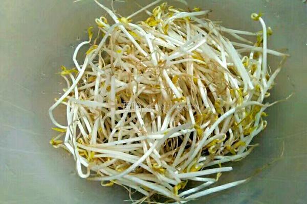 炒河粉的做法图解2