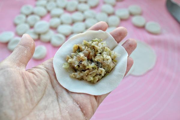 猪肉酸菜水饺的做法图解9
