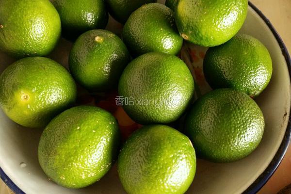 川贝柠檬膏的做法图解1
