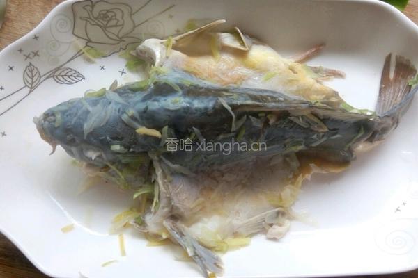 清蒸裸斑鱼的做法图解6