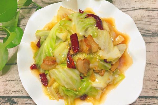 香辣手撕包菜的做法图解1