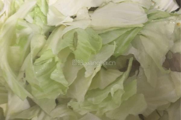 香辣手撕包菜的做法图解9
