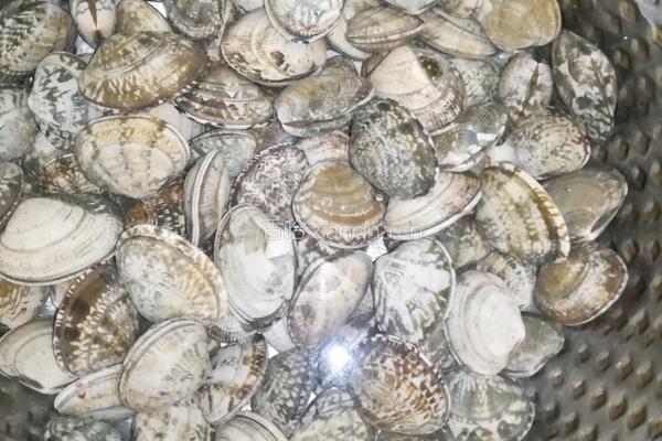 麻辣海鲜旺的做法图解1