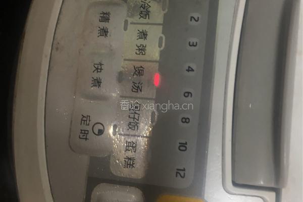 莲子猪肚汤的做法图解12