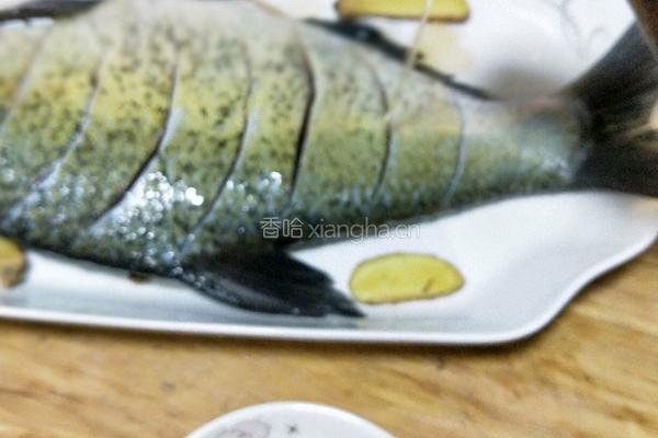 川味清蒸武昌鱼的做法图解6