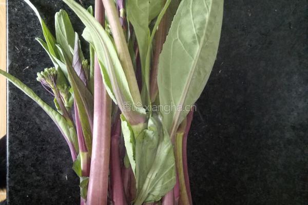 酱汁紫菜排的做法图解1