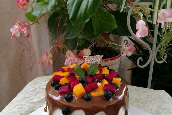 巧克力淋面水果蛋糕的做法图解1
